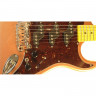 Guitar G&L Comanche (Spanish Copper Metallic.3-ply Tortoise Shell. maple)