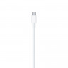 USB-C charge cable Apple A1739 (2 m)