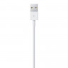Cable Apple USB/Lightning (2 m)