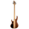 Bass Guitar LTD B-4E Mahogany (Natural Satin)