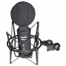 Мікрофон інструментальний Prodipe RIBBON 1