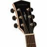 Acoustic Guitar Cort PW310M NS w/case