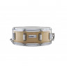 Snare drum Taye PX1455S-NG