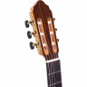 Classical guitar with pickup Valencia CCG1