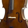 Cello Stentor 1108/A Student II Cello Outfit (4/4)
