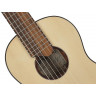 Classic Mini Guitar Salvador Cortez TC-460