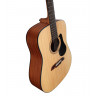 Acoustic Guitar Alvarez AD30