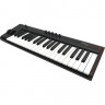 MIDI Keyboard IK Multimedia iRig Keys 2 Pro