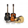 Acoustic Guitar Grimshaw by Richwood GSD-60 (Sunburst)