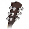 Acoustic Guitar Richwood RD-12 (Sunburst)