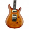 Electric guitar PRS SE Floyd Custom 24