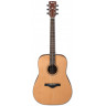 Acoustic Guitar Ibanez AW65 LG