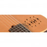 Classical guitar with pickup Godin 035045 - Multiac Nylon Encore SG With Bag