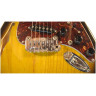 Guitar G&L S500 Semi-Hollow (2-Tone Sunburst, 3-ply Tortoise Shell. Maple)