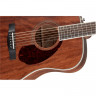 Акустична гітара Fender PM-1 Dreadnought All-Mahogany With Case (Natural)
