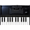 Keyboard Unit Roland K-25m