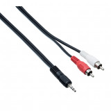 Commutation Cable RCA Bespeco ULJ300