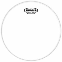 Drumhead Evans TT16RGL