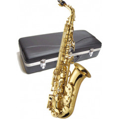 Saxophone Alto J.Michael AL-500
