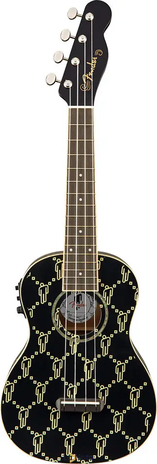 Електроакустичне укулеле Fender Billie Eilish Special Edition