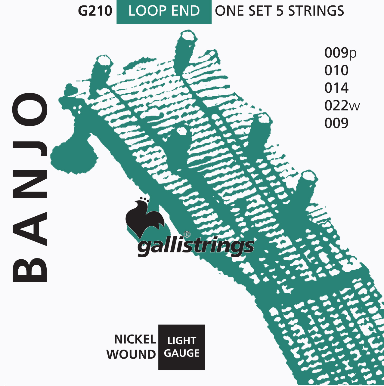 Струни для банджо Gallistrings G210 (.009-.022), Steel