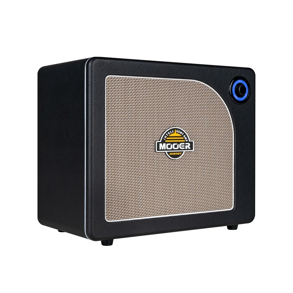 Комбопідсилювач гітарний Mooer Hornet 30i (Black)
