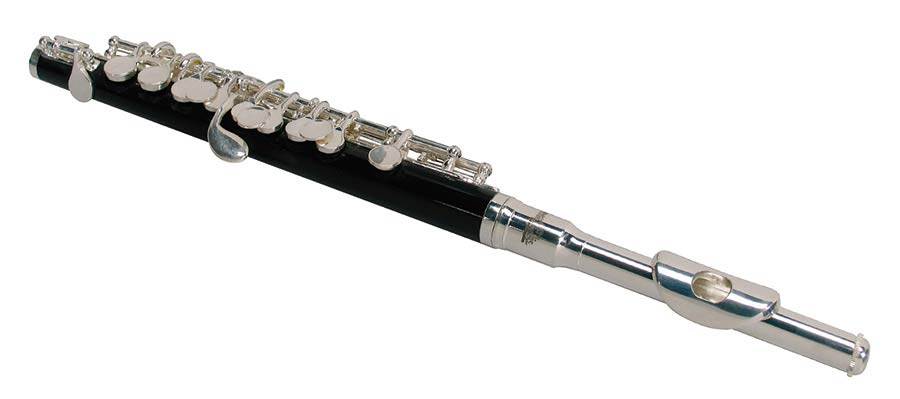 Флейта-піколо Stewart Ellis SE-100-S в комплекті з аксесуарами