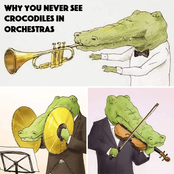 Crocs in the orchestra