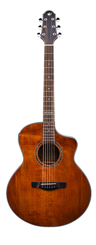 Акустическая гитара Alfabeto Solid Elegance Awesome за 8925 грн вместо 10500 грн